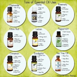 Essential Oils - Basic Usage and Benefits (Guide) - Third Monk