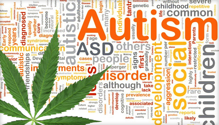 Marijuana May Relieve the Symptoms of Autism (Study) | Third Monk image 1