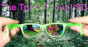 The Truth About LSD - 10 Profound Quotes From Great Minds About Dropping Acid | Third Monk image 2