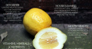 45 Amazing Uses for Lemons | Third Monk image 1