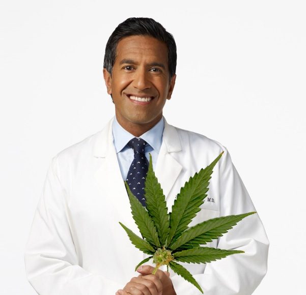 Our Government Holds a Patent for Medical Cannabis, Why is it Illegal? - Dr. Gupta | Third Monk image 4