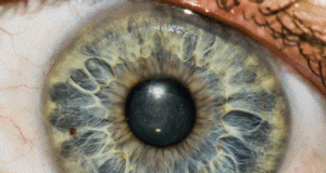 Eyes & Nebulas: Windows into our Souls | Third Monk image 2