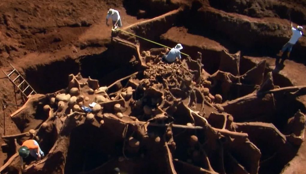Giant Ant Hill Colony Impresses Scientists (Video) | Third Monk image 2