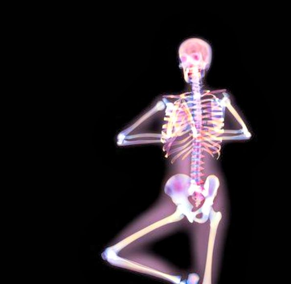 X-Ray Yoga - The Bones Behind The Poses (Video) | Third Monk image 5